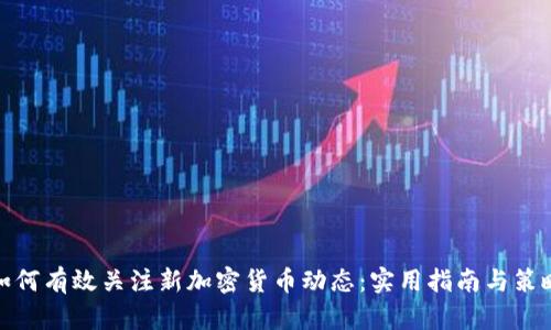 如何有效关注新加密货币动态：实用指南与策略