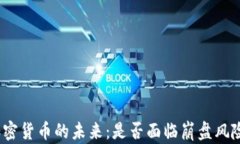 加密货币的未来：是否面临崩盘风险？