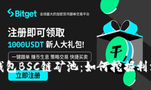 深入探索TP钱包BSC链矿池：如何挖掘利润与风险管理