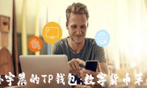 
深入探讨孙宇晨的TP钱包：数字货币革命的引领者