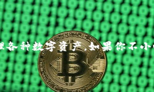 在这个数字货币日益普及的时代，TP钱包作为一种常见的去中心化钱包，帮助用户安全存储和管理各种数字资产。如果你不小心丢失了钱包访问权限或者密码，不用担心，本文将为你提供详细的指导，帮助你找回你的TP钱包。

如何找回丢失的TP钱包：完整指南