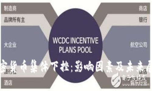 加密货币集体下挫：影响因素及未来展望