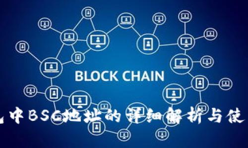 TP钱包中BSC地址的详细解析与使用指南