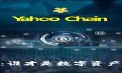 BK钱包与TP钱包：谁才是数字资产安全的“护航者