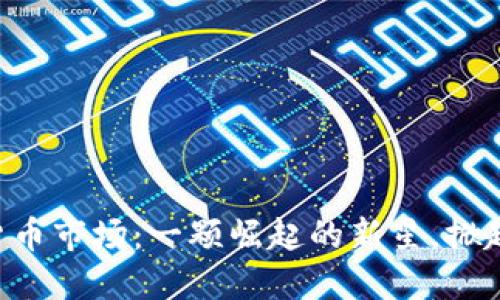 马来西亚加密货币市场：一颗崛起的新星，掀起金融革命浪潮！