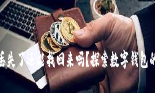 TP钱包私钥丢失了还能找回来吗？探索数字钱包的安全与风险