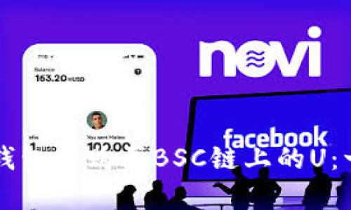 如何在TP钱包中购买BSC链上的U：一步步解析