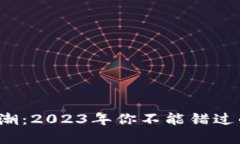 加密货币浪潮：2023年你不能错过的投资机会！