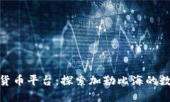 波多黎各加密货币平台：探索加勒比海的数字货