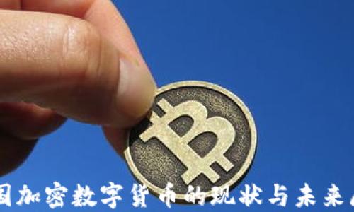 
中国加密数字货币的现状与未来展望