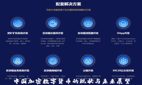 
中国加密数字货币的现状与未来展望