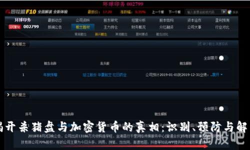 揭开杀猪盘与加密货币的真相：识别、预防与解决