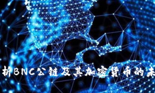 深入解析BNC公链及其加密货币的未来潜力