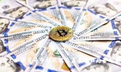 芬兰加密货币市场现状及未来价格趋势分析