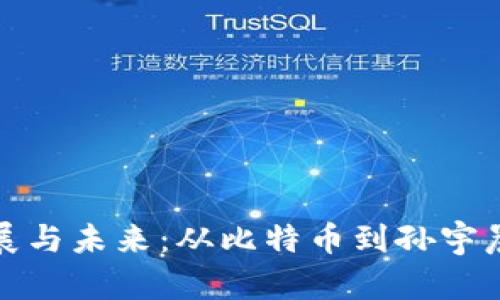 加密货币的发展与未来：从比特币到孙宇晨的区块链创新