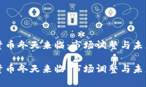 加密货币冬天来临：市场调整与未来展望

加密货币冬天来临：市场调整与未来展望