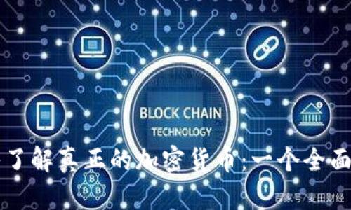 深入了解真正的加密货币：一个全面指南