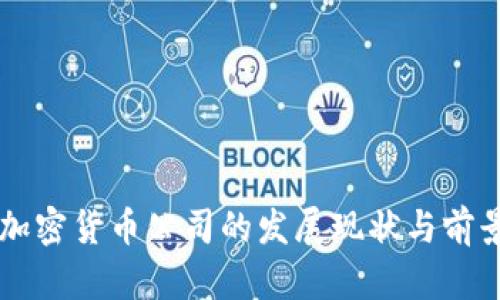 荷兰加密货币公司的发展现状与前景分析