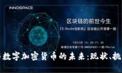 刘欣华与数字加密货币的未来：现状、挑战与机