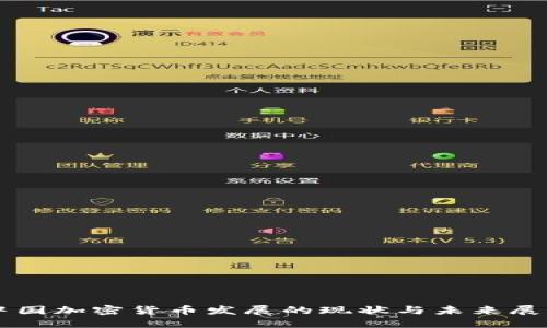 中国加密货币发展的现状与未来展望