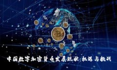 中国数字加密货币发展现状：机遇与挑战