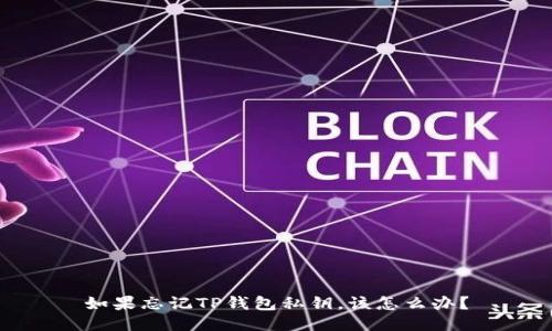 如果忘记TP钱包私钥，该怎么办？