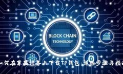 如何在苹果设备上下载TP钱包：详细步骤与指南