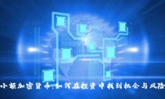 小额加密货币：如何在投资中找到机会与风险