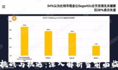 加密货币的挑战与机遇：深入解析当前面临的主