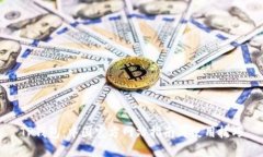 TP钱包：中国官方网站指南与使用技巧