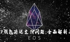 如何解决TP钱包延迟支付问题：全面解析与实用技