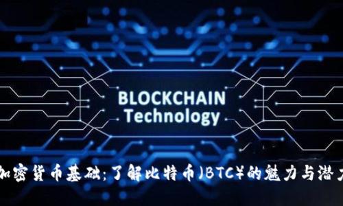 加密货币基础：了解比特币（BTC）的魅力与潜力