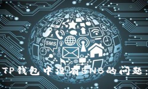 如何解决TP钱包中没有BNB的问题：全面指南