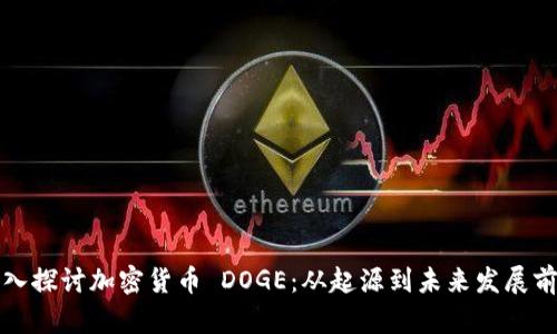 深入探讨加密货币 DOGE：从起源到未来发展前景